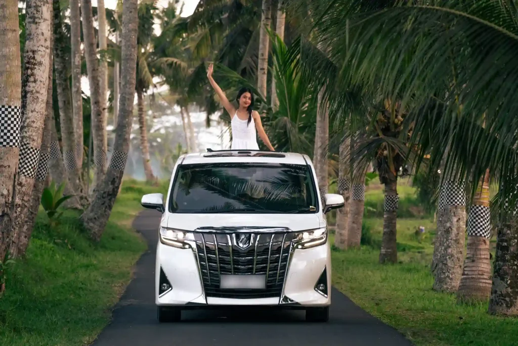 A palm-lined road in Bali
