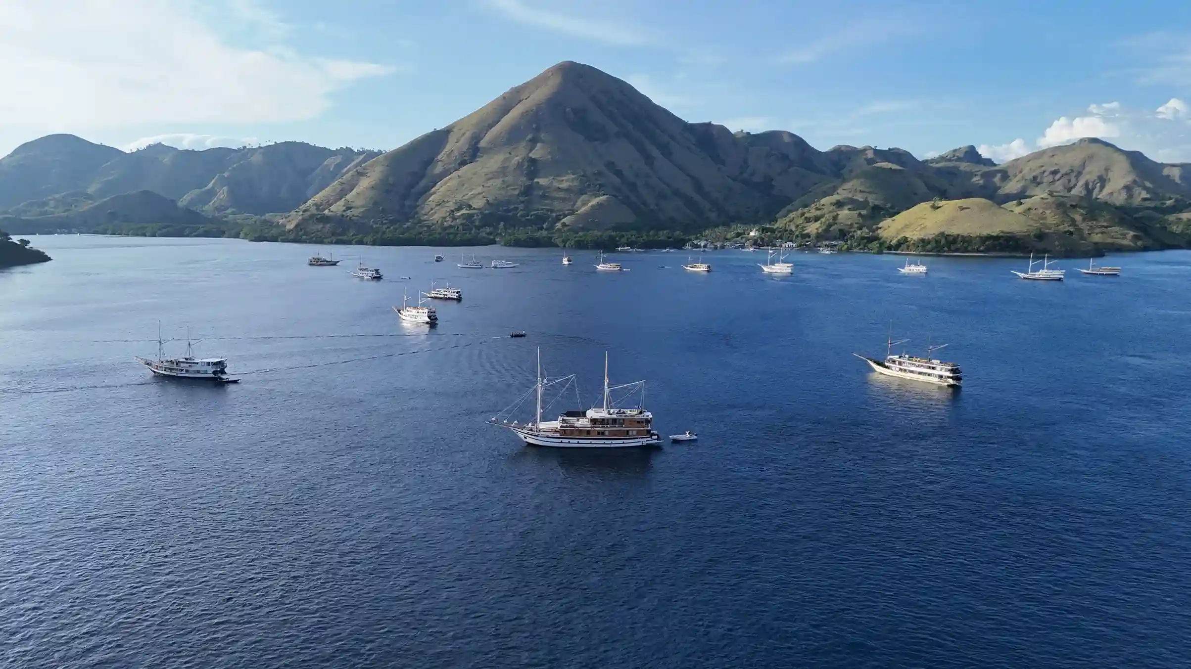 Bali Investment Company Registration: Risk and Governance
